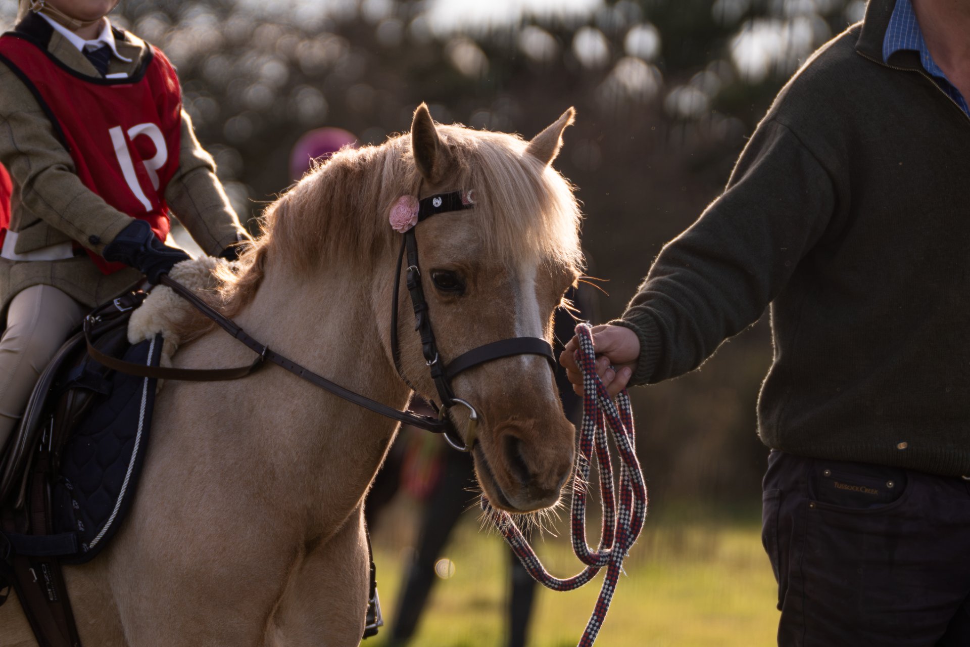 Brackenfield Hunt Day 2